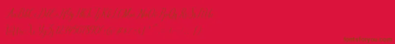 brillyo regulerフォントについての詳細 フォントbrillyo reguler – 赤い背景に茶色の文字