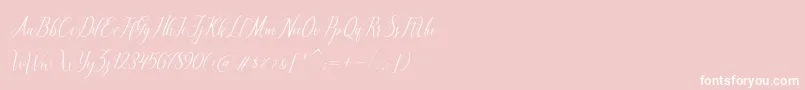 brillyo Slant-Schriftart – Weiße Schriften auf rosa Hintergrund