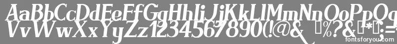 BRIMI    Font – White Fonts on Gray Background