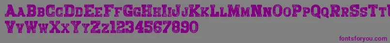 Bring Me A War Font – Purple Fonts on Gray Background