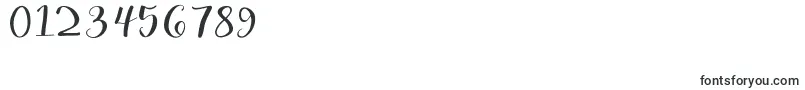 Britnees Font – Fonts for Numbers and Digits