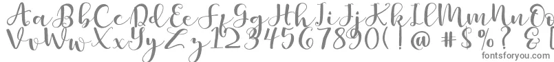 Britnees Font – Gray Fonts on White Background