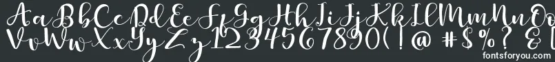 Britnees Font – White Fonts