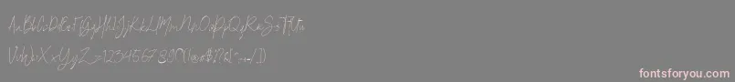 Britson Font – Pink Fonts on Gray Background