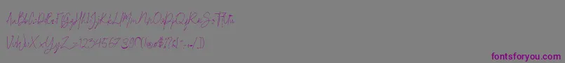 Britson Font – Purple Fonts on Gray Background