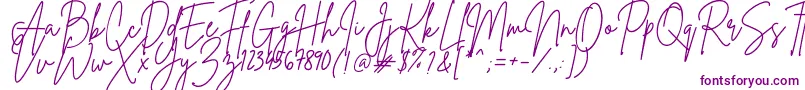 BrittanySignature-Schriftart – Violette Schriften auf weißem Hintergrund