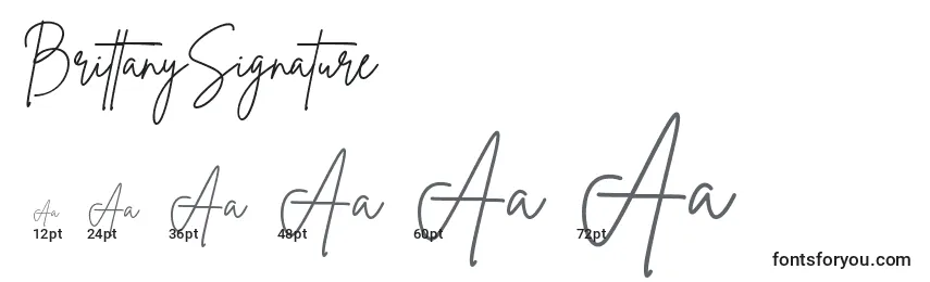 BrittanySignature Font Sizes