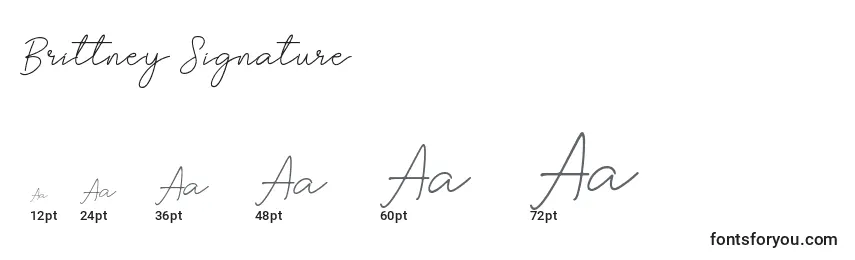 Brittney Signature Font Sizes