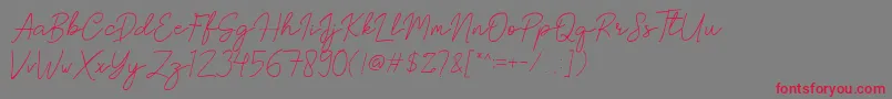 フォントBrittney Signature – 赤い文字の灰色の背景