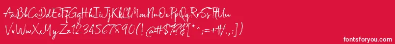 Broadcast Matter Font – White Fonts on Red Background
