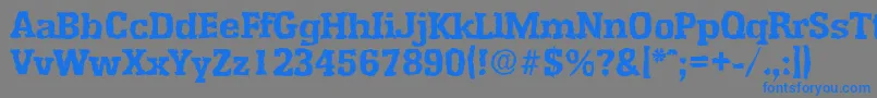 フォントEnschederandomXboldRegular – 灰色の背景に青い文字