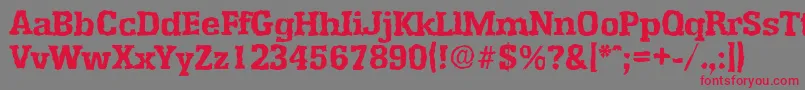 フォントEnschederandomXboldRegular – 赤い文字の灰色の背景