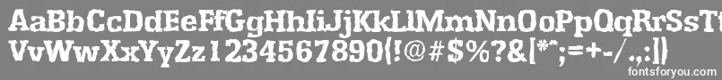 EnschederandomXboldRegular Font – White Fonts on Gray Background