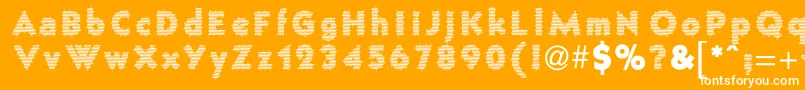 FenceWire Font – White Fonts on Orange Background