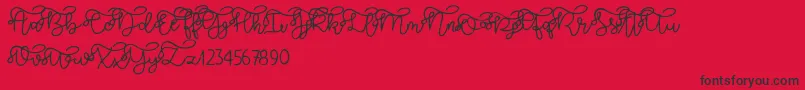 Brooklyn script Font – Black Fonts on Red Background