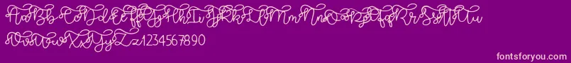 Brooklyn script-Schriftart – Rosa Schriften auf violettem Hintergrund
