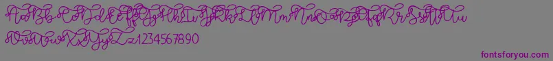 Brooklyn script Font – Purple Fonts on Gray Background