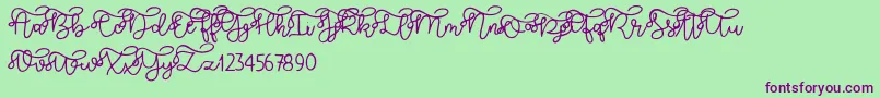 Brooklyn script Font – Purple Fonts on Green Background