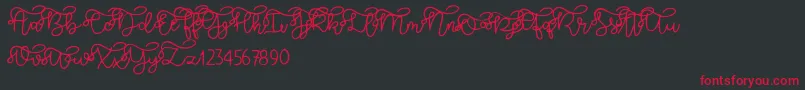 Brooklyn script Font – Red Fonts on Black Background
