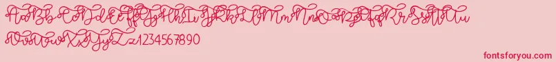 Brooklyn script Font – Red Fonts on Pink Background