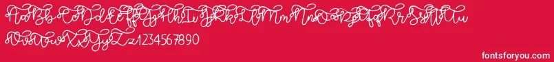 Brooklyn script-fontti – valkoiset fontit punaisella taustalla