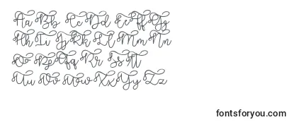 Обзор шрифта Brooklyn script