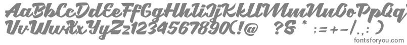 Brotha Script-fontti – harmaat kirjasimet valkoisella taustalla