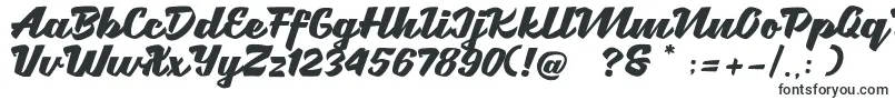 Brotha Script Font – Wide Fonts