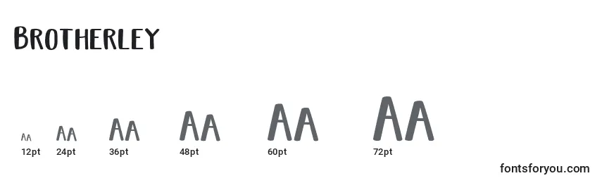Brotherley Font Sizes