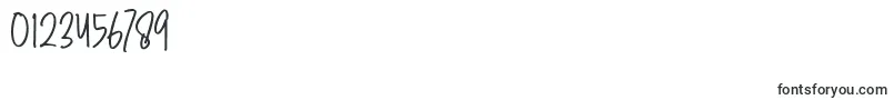 Brush Wayne Font – Fonts for Numbers and Digits