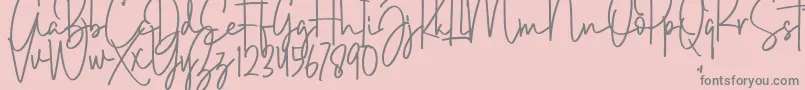 Brush Wayne Font – Gray Fonts on Pink Background