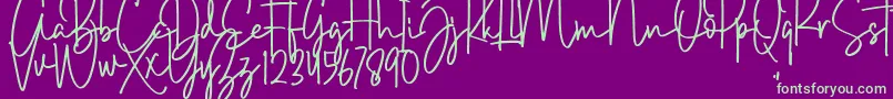 Brush Wayne-Schriftart – Grüne Schriften auf violettem Hintergrund