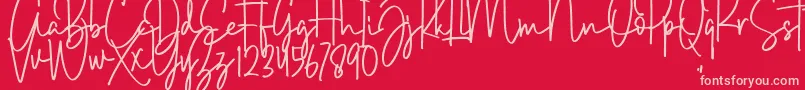 Brush Wayne Font – Pink Fonts on Red Background