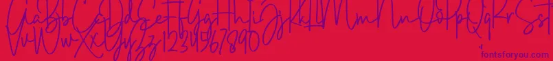 Brush Wayne Font – Purple Fonts on Red Background