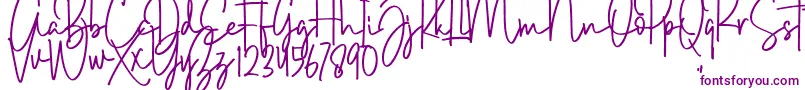 Brush Wayne Font – Purple Fonts on White Background