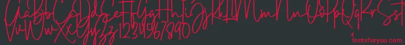 Brush Wayne Font – Red Fonts on Black Background