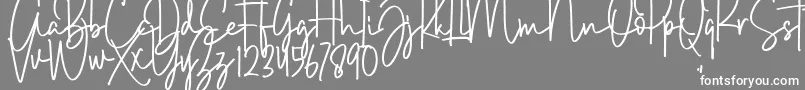 Brush Wayne Font – White Fonts on Gray Background