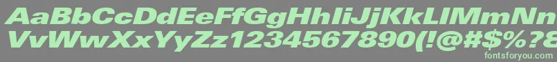 UniversNextProExtrablackExtendedItalic-Schriftart – Grüne Schriften auf grauem Hintergrund