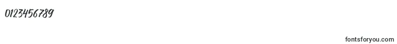 Brushpen Story Font – Fonts for Numbers and Digits