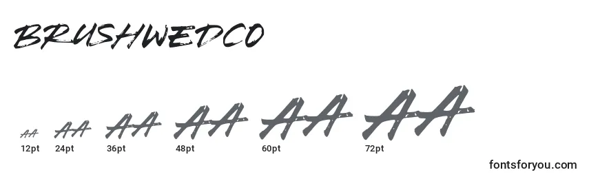 BrushWedco Font Sizes