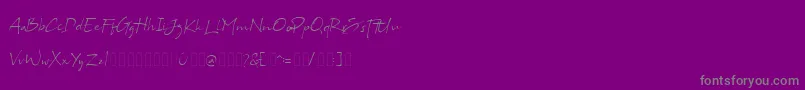 Bs Signature Demo-Schriftart – Graue Schriften auf violettem Hintergrund