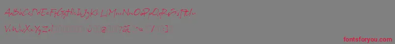 Bs Signature Demo-Schriftart – Rote Schriften auf grauem Hintergrund