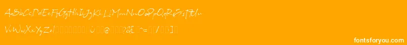 Więcej informacji o czcionce Bs Signature Demo Czcionka Bs Signature Demo – białe czcionki na pomarańczowym tle