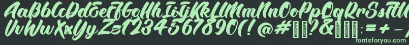 BTX Angelika Regular Font – Green Fonts on Black Background