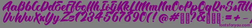 BTX Angelika Regular Font – Purple Fonts on Gray Background