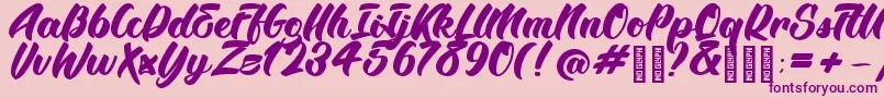 BTX Angelika Regular Font – Purple Fonts on Pink Background