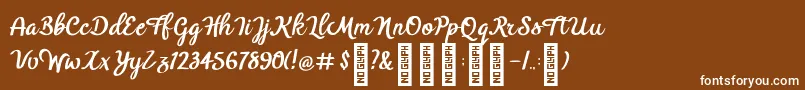BTX Benafor Regular Font – White Fonts on Brown Background