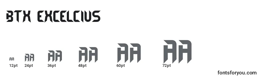 BTX EXCELCIUS Font Sizes