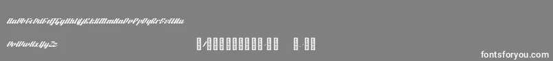 BTX Fluidz Regular Font – White Fonts on Gray Background