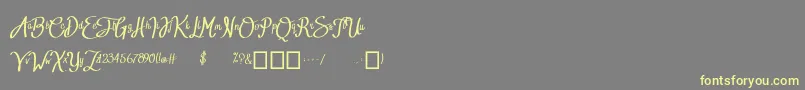 BTX RADIANT SUNSHINE Font – Yellow Fonts on Gray Background